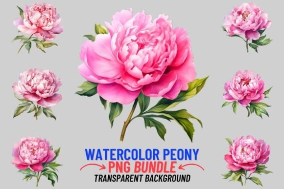 Watercolor Peony 12 PNG Sublimation: A Designer's Floral Toolkit